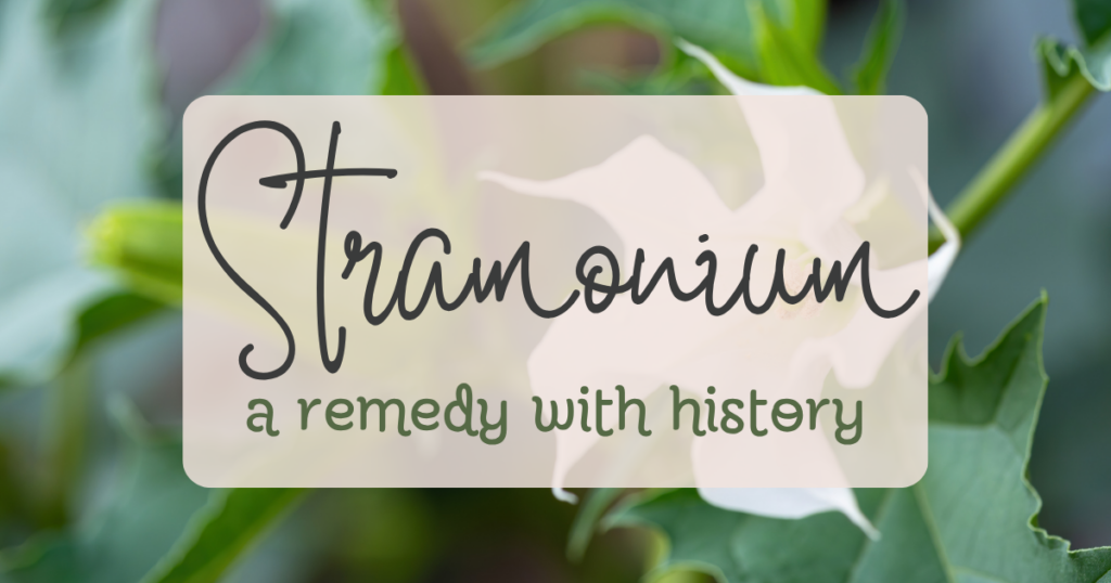 stramonium a remedy with history