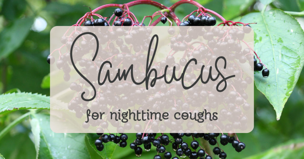 nighttime cough